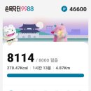 오늘은혼자닭