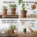 황금비료 네이버블로그