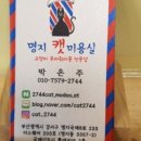 캣 미용실 이미지