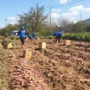 푸른솔생활학교지역아동센터 이미지