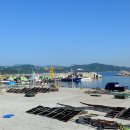 용화해변 Daum카페
