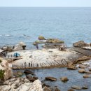 영동농협 하늘과바다사이 이미지