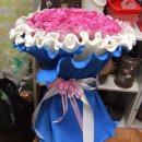 반야월로 이미지