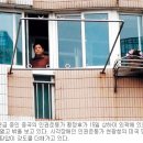 펑정 이미지