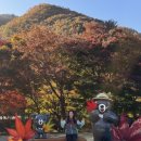 내장산국립공원화장실(제1주차장) 이미지