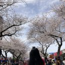 반성중학교 | [2025.3.30~4.1]중학교 친구들과 귤나라 여행🍊