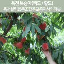 옥천살림협동조합 이미지