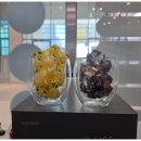 국제부동산공인중개사사무소 이미지