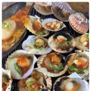 만선민박2 이미지