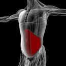 코어피트니스 1호점 이미지