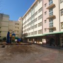 용수초등학교 이미지