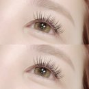 빈센트뷰티 이미지