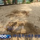 서울양화초등학교 이미지