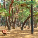 송림농장 이미지