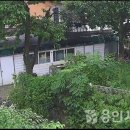 하천 영상감시 CCTV 이미지