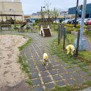 명지스타시티 동물약국 이미지