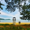 나로우주해수욕장 이미지