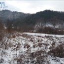 옥천군이원면원동보건진료소 네이버블로그