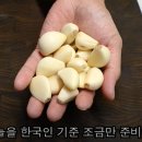대프리카막창 이미지