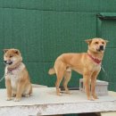 한돌농장 이미지