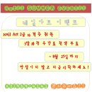 네일베이직 Daum카페