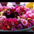 [080220]누구나 꽃을 받으면... 이미지