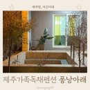 퐁낭거리 | 제주가족독채펜션 퐁낭아래
