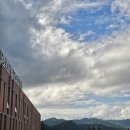 (주)삼주 | 구월삼주 일기장