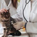 이로동물의료센터 이미지