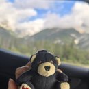 (주)오케이렌트카 | 이사랑통역되나요 캐나다 촬영지 4회 5회 6회 밴프 캔모어 캘거리 실제 다녀온 후기 비교