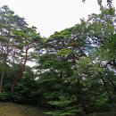 구름닿은 이미지