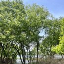 파스타짙은 이미지