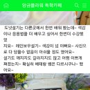 태리안 | 후기글~~감사해요~~~