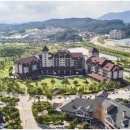 알펜시아리조트 노동조합 이미지