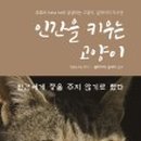 나만 없어 고양이 이미지