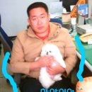 하얀이 이미지