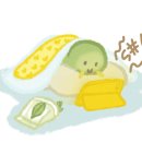 바르스테이 이미지