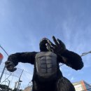 다시내보 | 여수 유월드 루지 테마파크 다녀온 후기 여수 가볼만한곳 바로 여기!