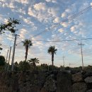 비자림힐링펜션 이미지