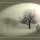 맑은아침 이미지