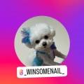 윈썸네일WINSOMENAIL