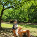 정발산공원 이미지