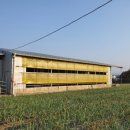 마농 민박 이미지