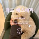 와드에스테틱