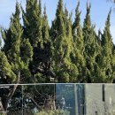 한비하우스 이미지