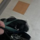 세움요양병원 이미지