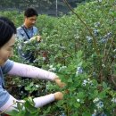 구례농장 이미지