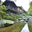 곰사냥을떠나자펜션 이미지