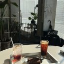 리빙클라스 | [월기_2026.02] 5년동안 월기 쓴 사람 나에오🍀