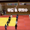 신사아카데미 유도/주짓수 이미지